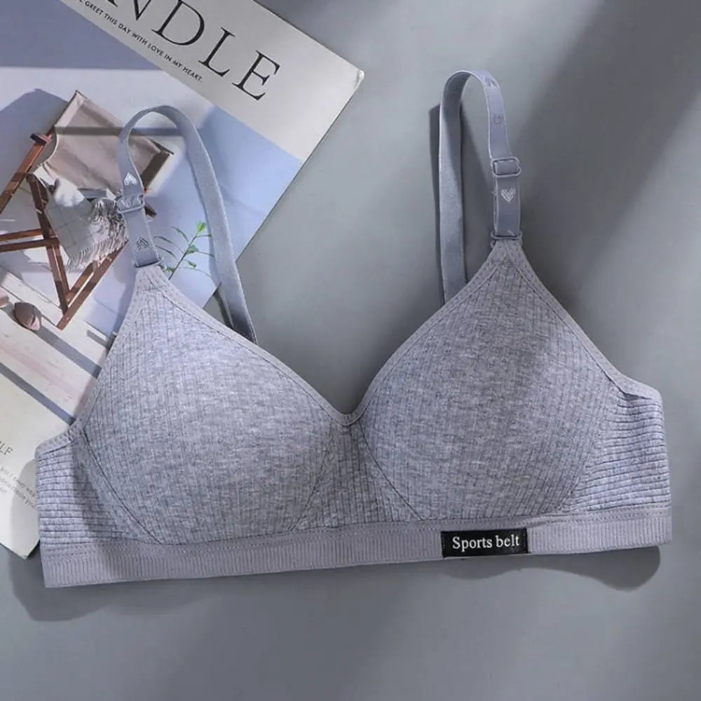Gray bra with 'Sports belt' label on a gray background